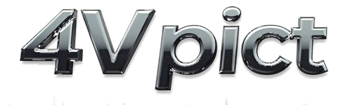 4v pic logo